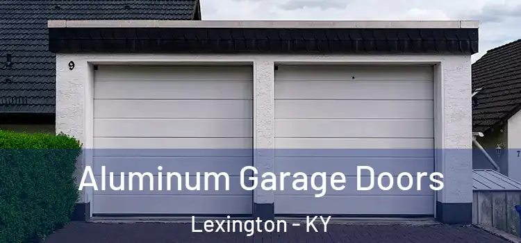  Aluminum Garage Doors Lexington - KY