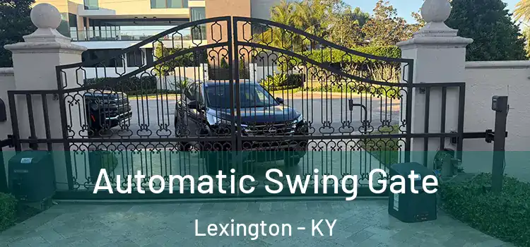  Automatic Swing Gate Lexington - KY
