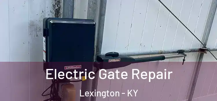 Electric Gate Repair Lexington - KY