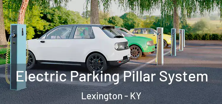 Electric Parking Pillar System Lexington - KY