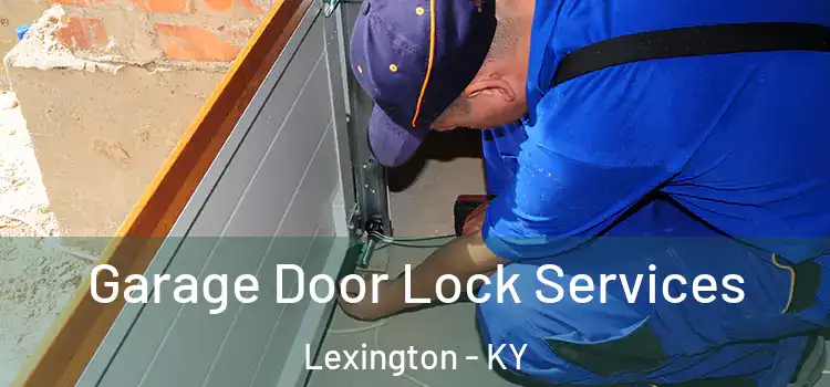  Garage Door Lock Services Lexington - KY