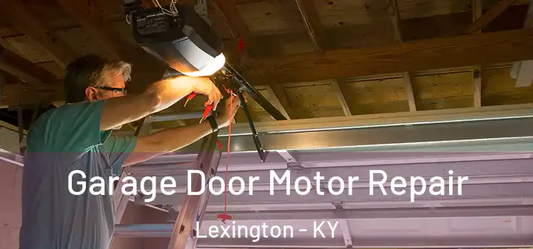  Garage Door Motor Repair Lexington - KY