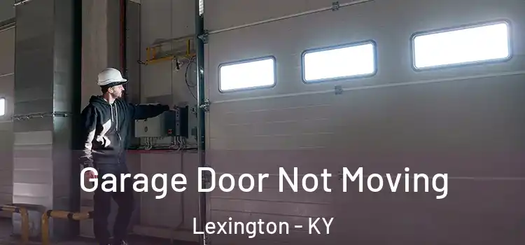  Garage Door Not Moving Lexington - KY