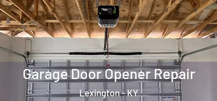  Garage Door Opener Repair Lexington - KY