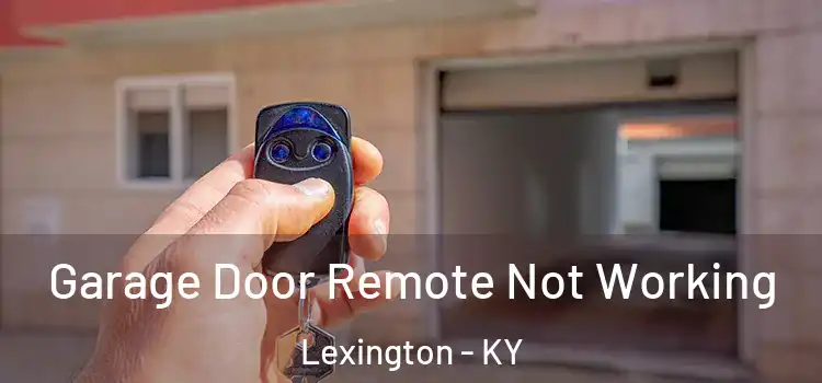  Garage Door Remote Not Working Lexington - KY