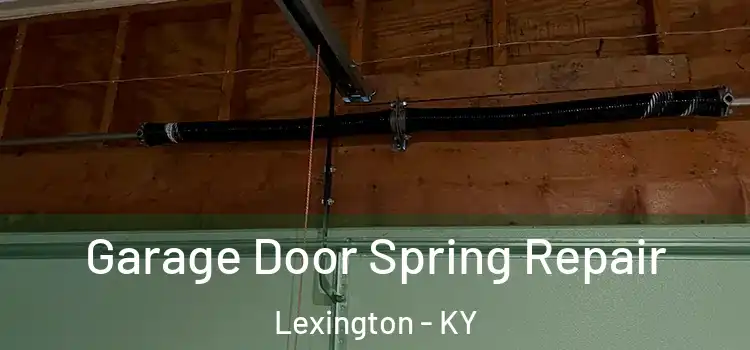  Garage Door Spring Repair Lexington - KY