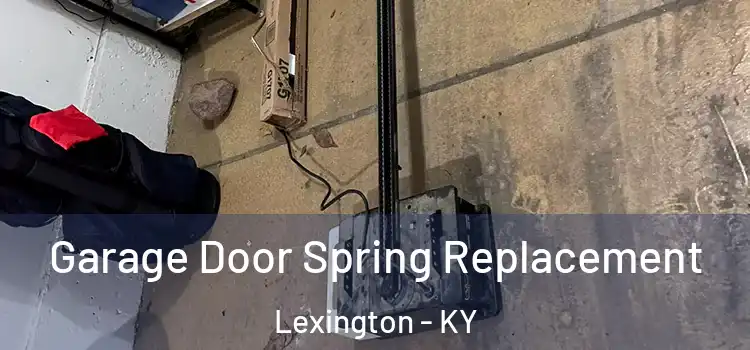  Garage Door Spring Replacement Lexington - KY