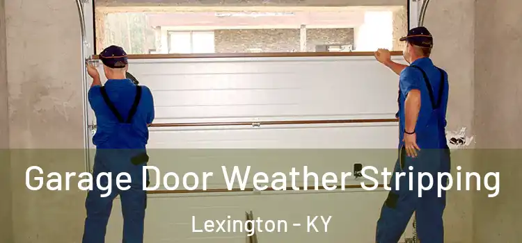  Garage Door Weather Stripping Lexington - KY