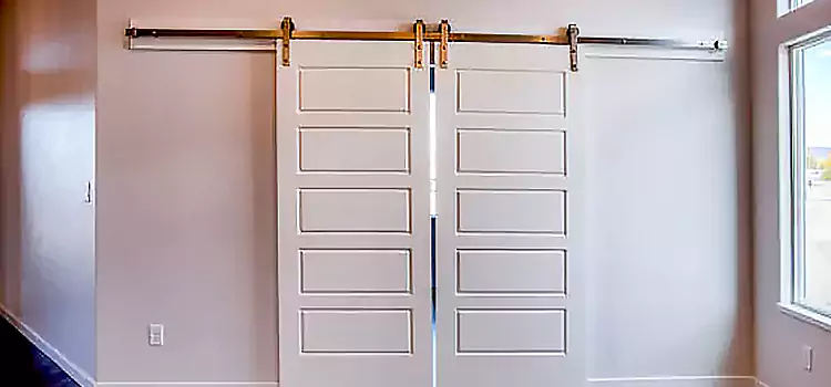 Glass Barn Door with Installation Hardware Kit Lexington