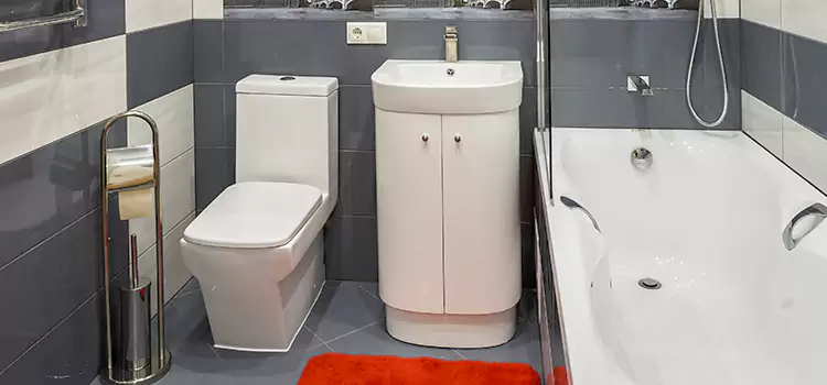 Hansgrohe Shaving Mirror Lexington