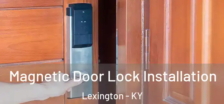  Magnetic Door Lock Installation Lexington - KY
