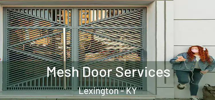 Mesh Door Services Lexington - KY