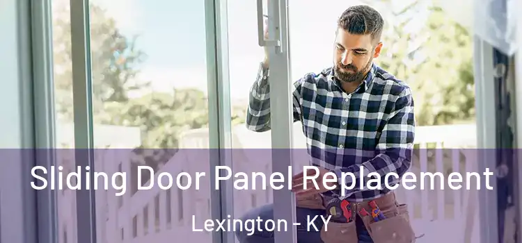  Sliding Door Panel Replacement Lexington - KY