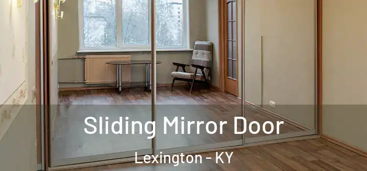  Sliding Mirror Door Lexington - KY