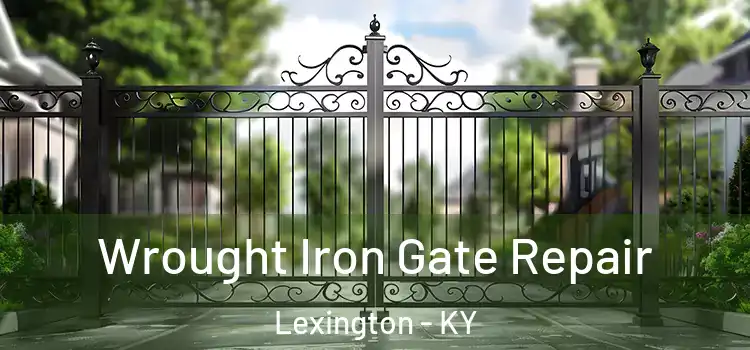  Wrought Iron Gate Repair Lexington - KY